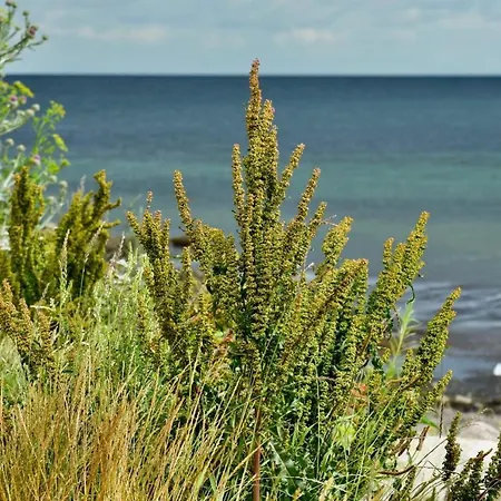 Prázdninový dům Haakestrasse 1d Dahme (Schleswig-Holstein)